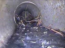 Drainlaying - blocked pipe roots