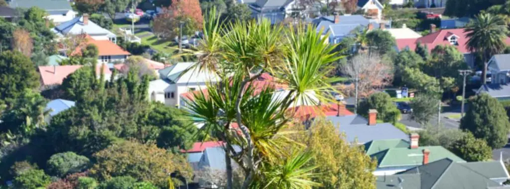 AucklandRoofs Auckland Roofs