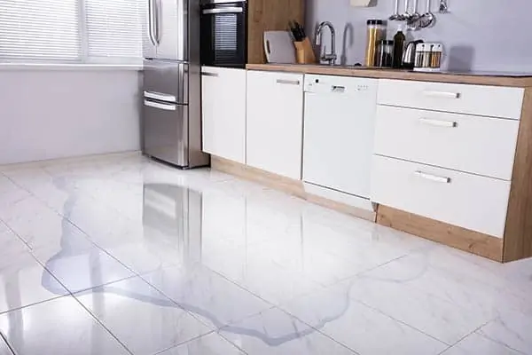 Flooded Kitchen