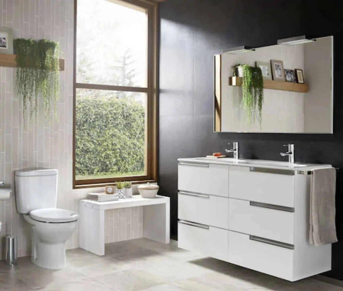 Roca Victoria Toilet Bathroom showing vanity