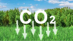 Reduce CO2 emission concept. Renewable energy-based green businesses can limit climate change and global warming. Lower CO2 emissions and reduce carbon footprint to limit climate change.