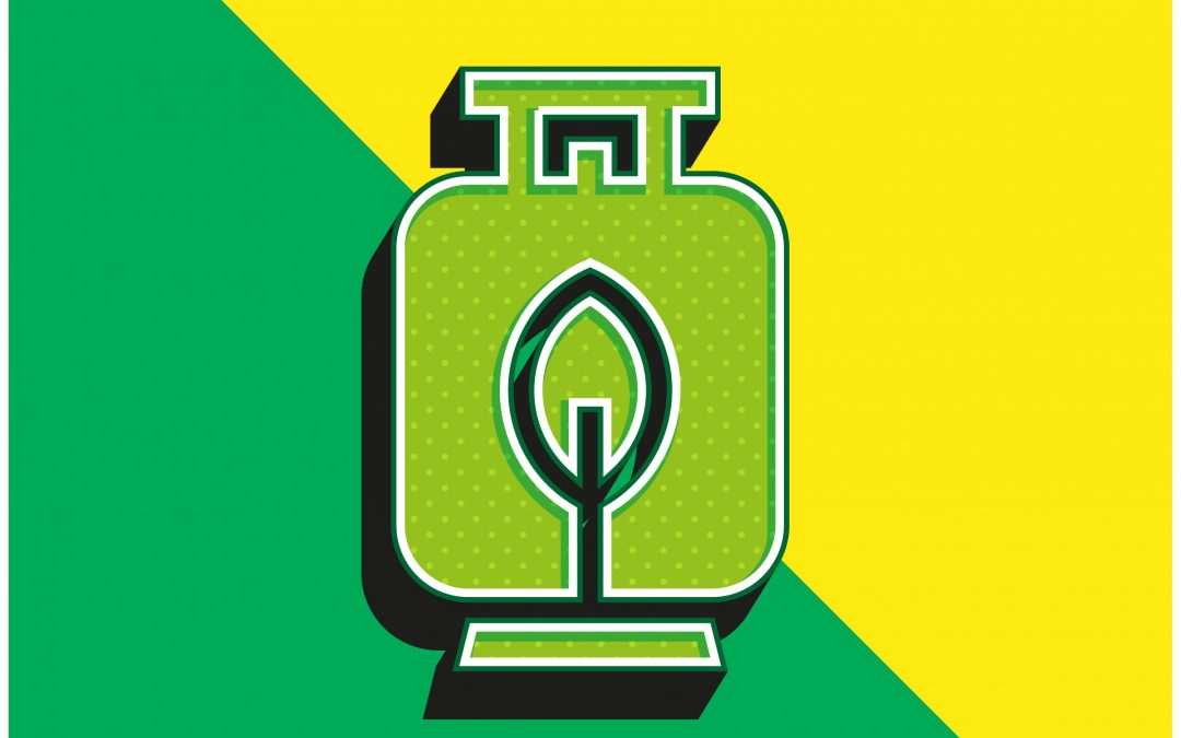 the future of gas energy in New Zealand homes