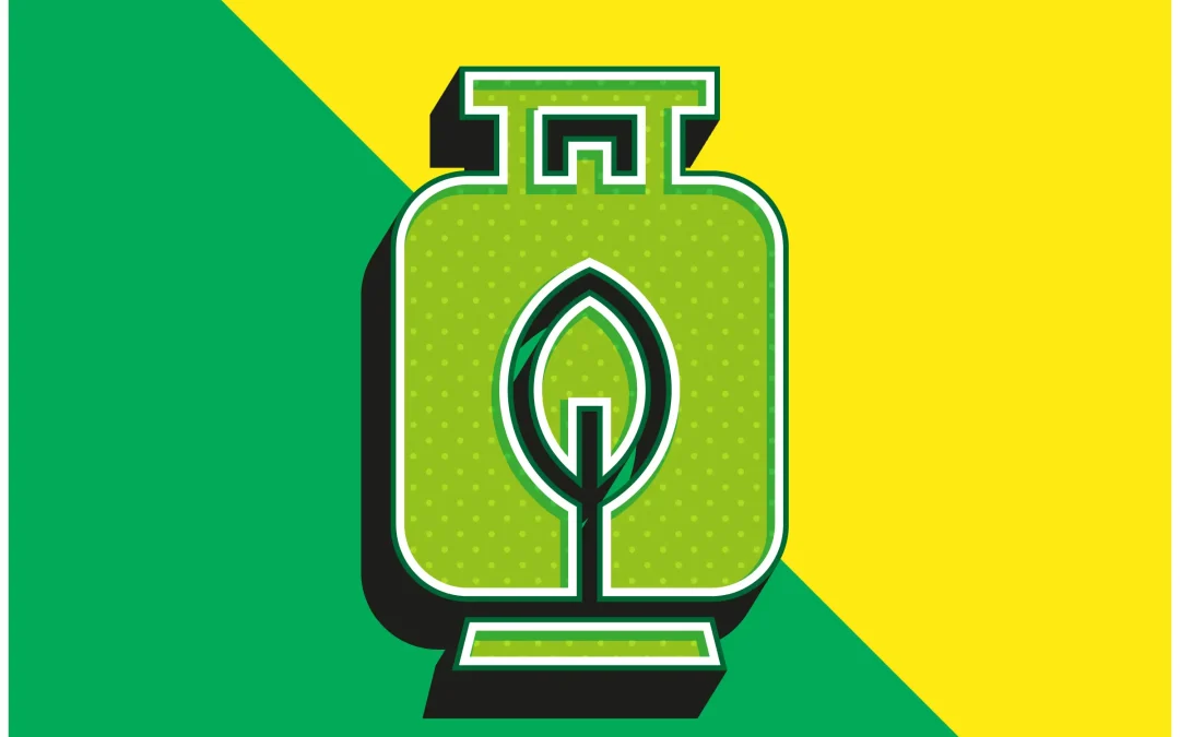 the future of gas energy in New&nbsp;Zealand homes