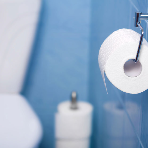 blue bathroom with focus on the toilet roll holder