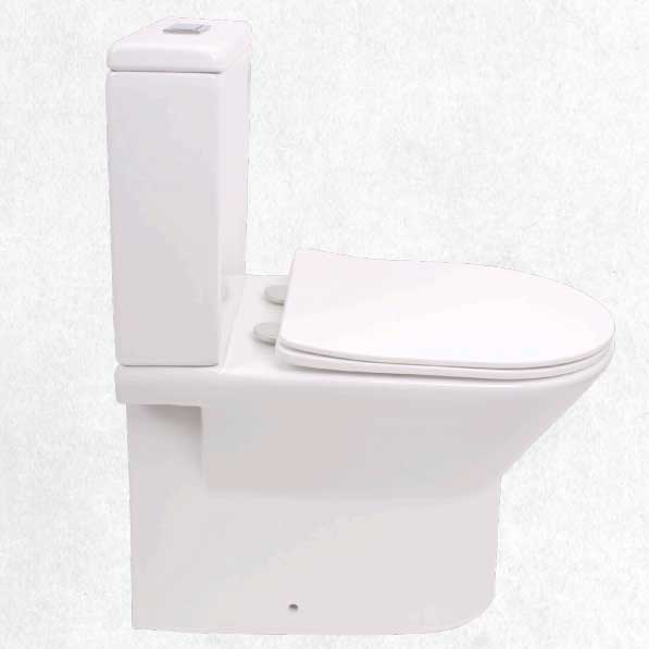Raymor Projex toilet suite side elevation