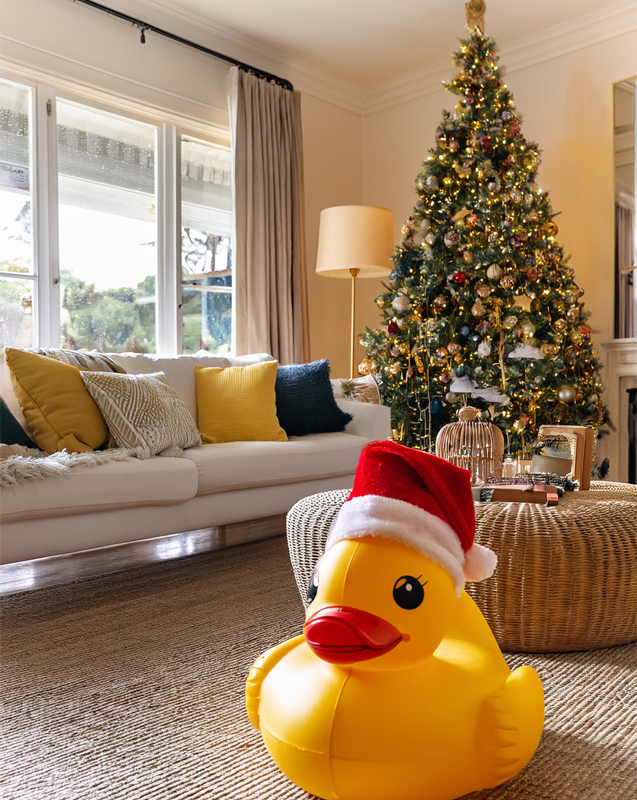 Christmas Duck