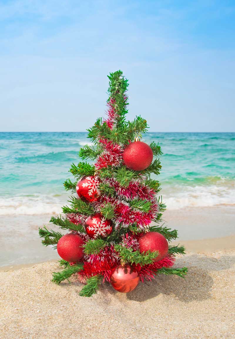 Christmas tree at the beach