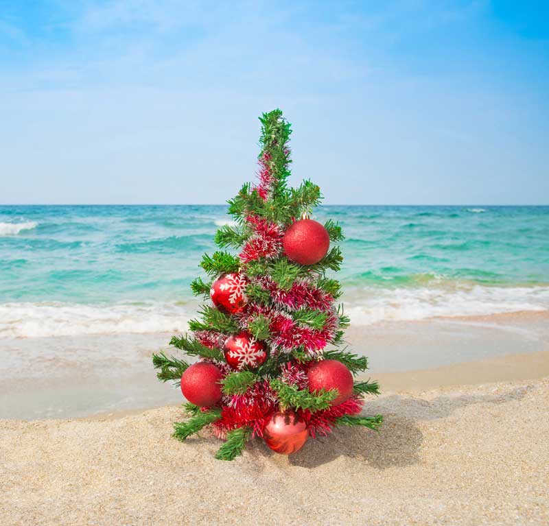 Christmas tree at the beach