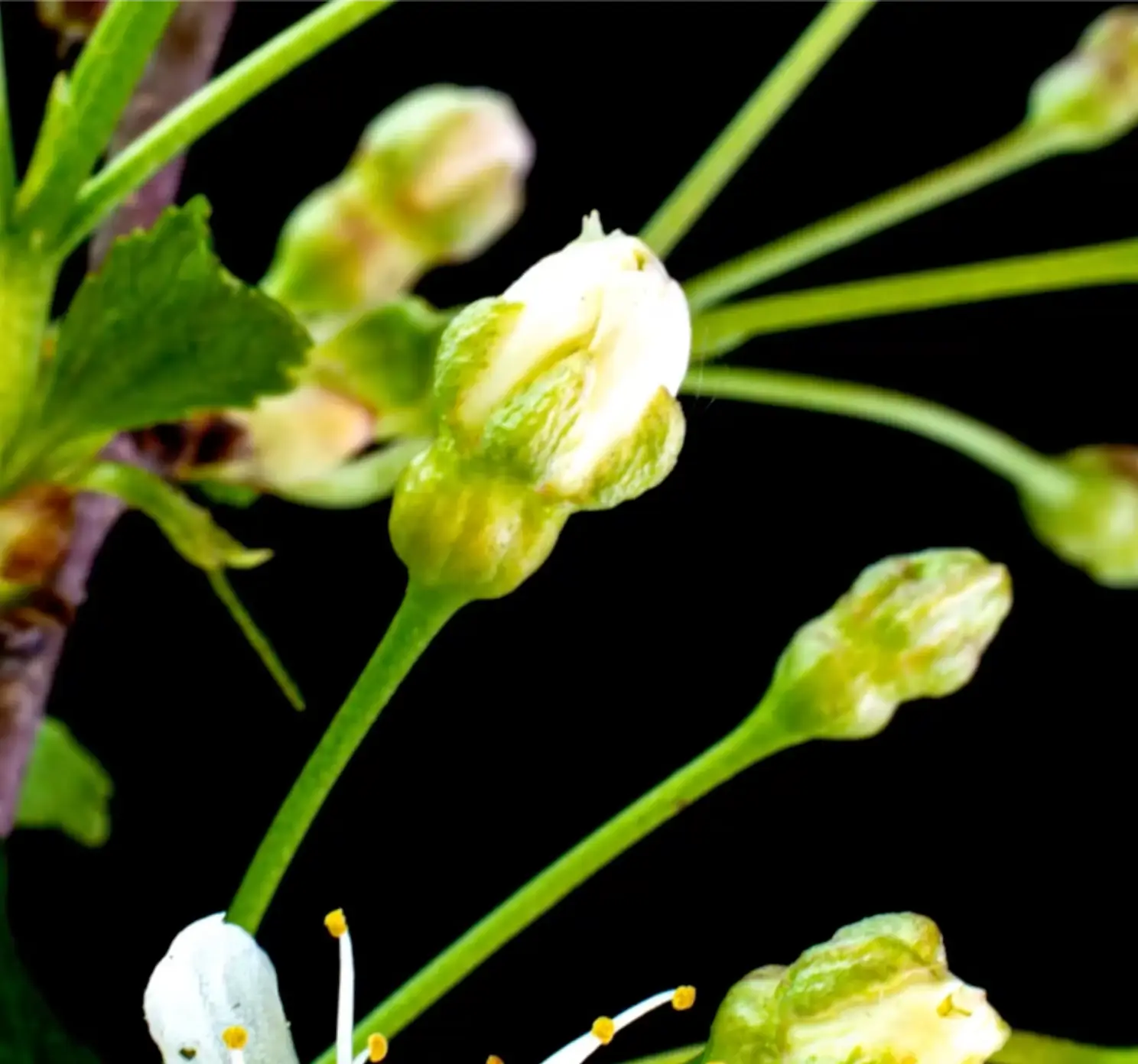 Spring into Action