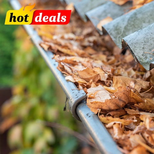 April Specials – Limited Time