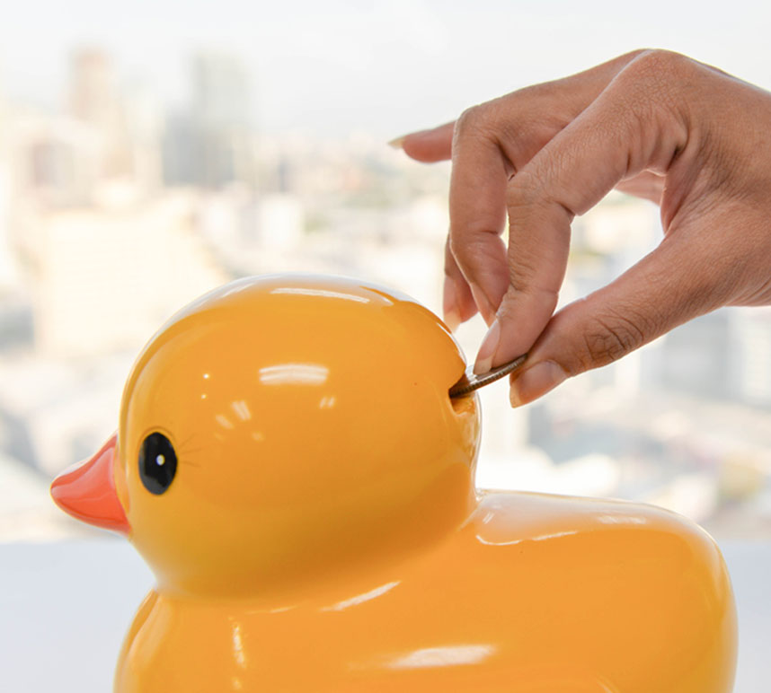 Duck piggy bank